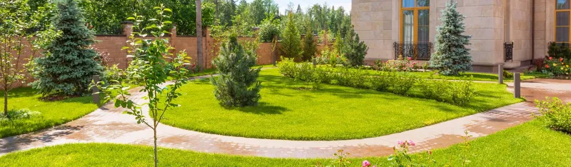 The Woodlands Landscaping Company, Landscaper and Landscaping Services