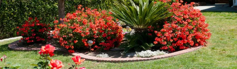 Magnolia Landscaping Company, Landscaper and Landscaping Services